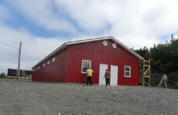 Photo taken from Newfoundland Pony Sanctuary website
